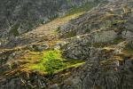 2008_0905Tatry080