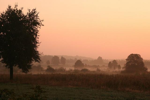 2008_0909Rower024