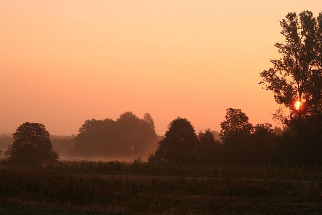 2008_0909Rower025