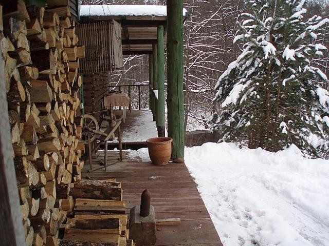 2009_0223puszcza007.jpg