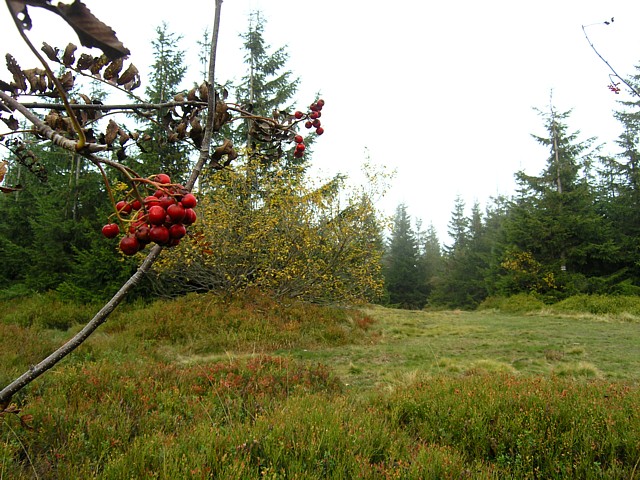 2009-10babia009.jpg