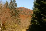 2010_1014zatwarnica033.jpg