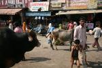 2007_1024xHaridwar1024m_2