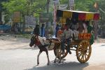 2007_1026BodhGaya1190m