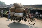 2007_1027BodhGaya1505m