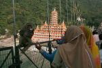 2007_1022Rishikesh0519m