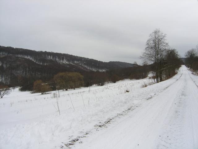 2008_0129kalnica010.jpg