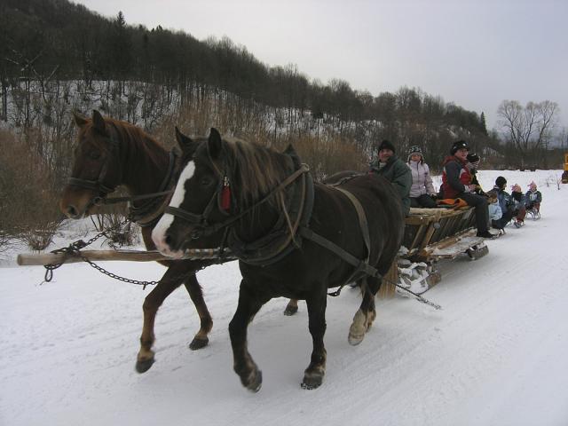 2008_0129kalnica015.jpg