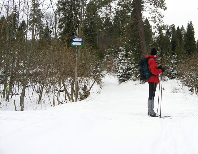 2008_0130torowisko003.jpg