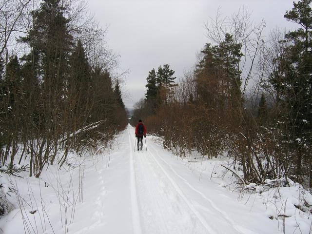 2008_0130torowisko004.jpg