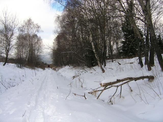 2008_0130torowisko013.jpg