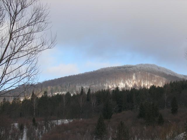 2008_0130torowisko015.jpg