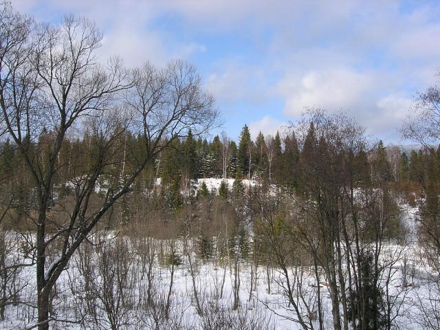 2008_0130torowisko022.jpg