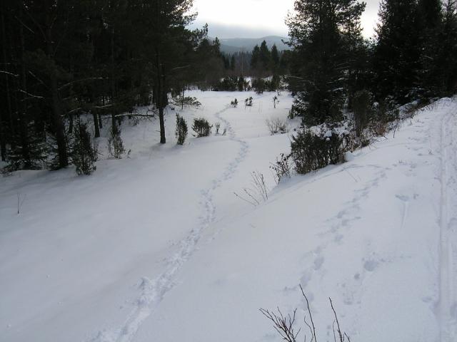 2008_0130torowisko029.jpg