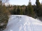 2008_0130torowisko033.jpg