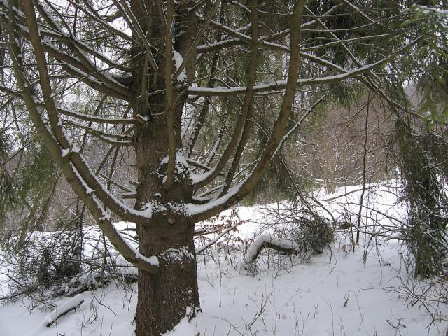 2008_0131czerwonyszlak004.jpg