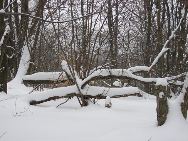 2008_0131czerwonyszlak009.jpg