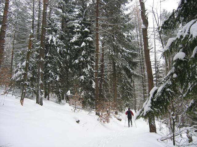 2008_0131czerwonyszlak013.jpg