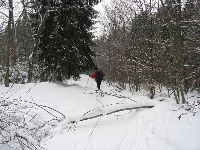 2008_0131czerwonyszlak016.jpg