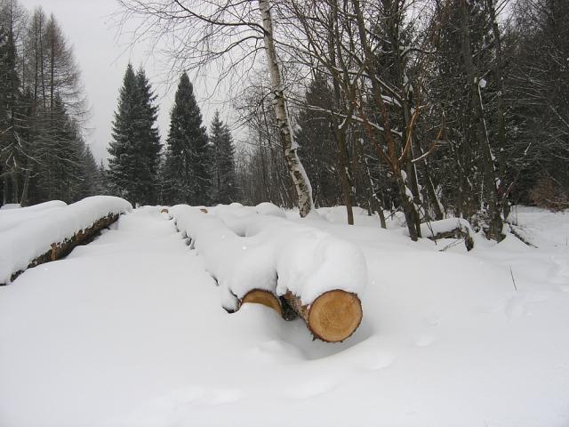 2008_0131czerwonyszlak017.jpg