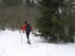 2008_0202odwilz013.jpg