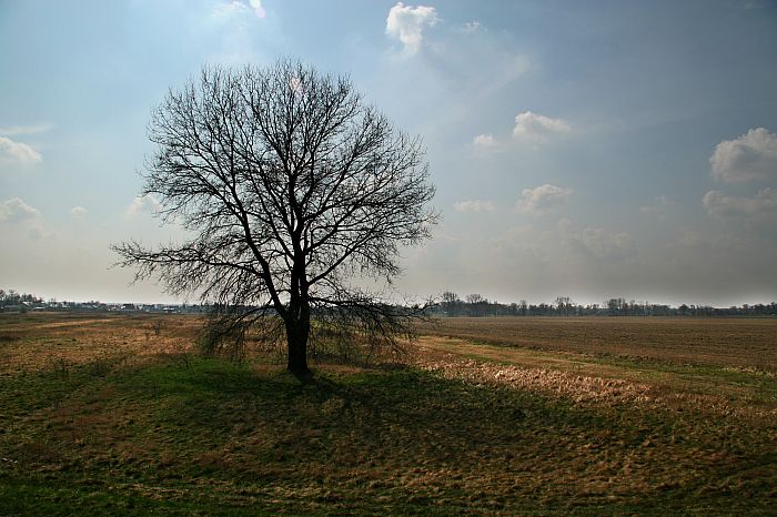 2008_0407Wisla0150