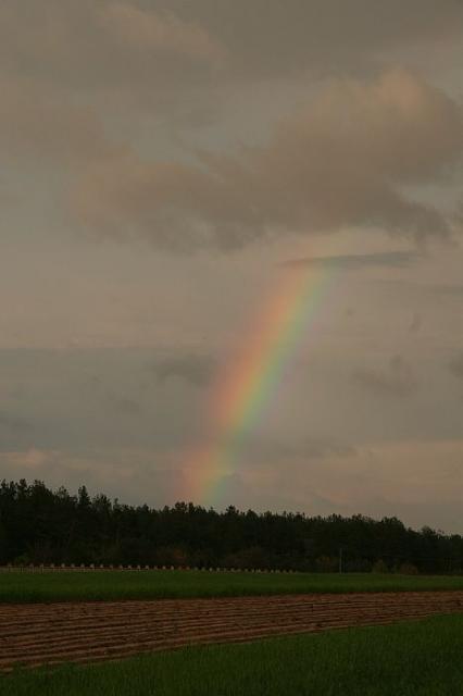 2008_0429Hansk0138