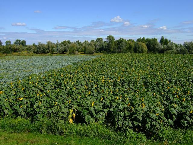 2008_0831Wisla0040