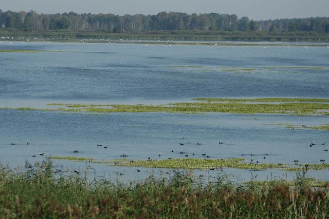 2008_0801Mazury053