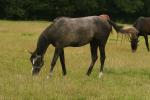 2008_0722Kresy0230