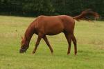 2008_0722Kresy0232