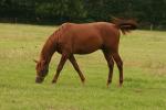 2008_0722Kresy0233