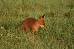 2008_0801Mazury004