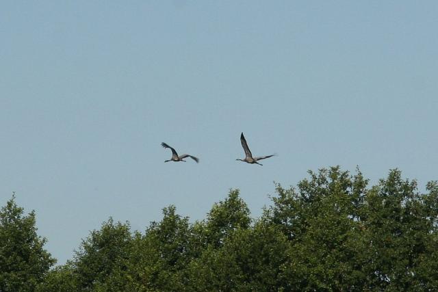 2008_0801Mazury071