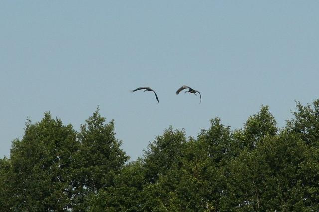 2008_0801Mazury072