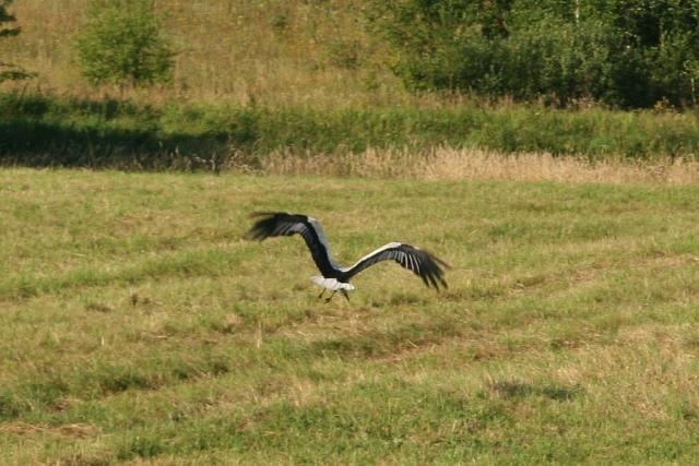 2008_0801Mazury074