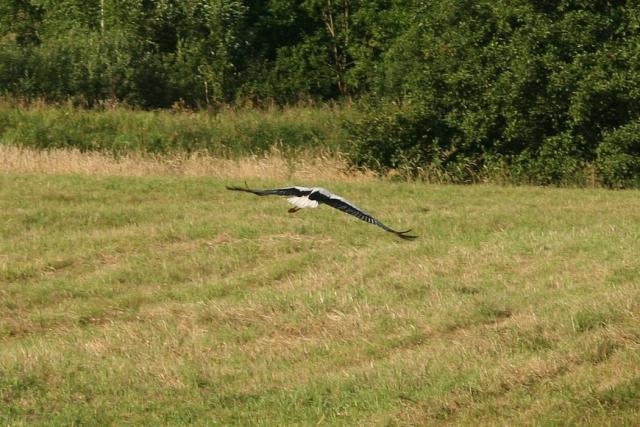 2008_0801Mazury075