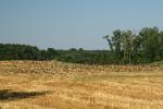 2008_0801Mazury099