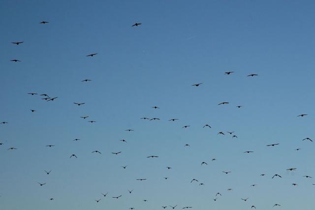 2008_0801Mazury104