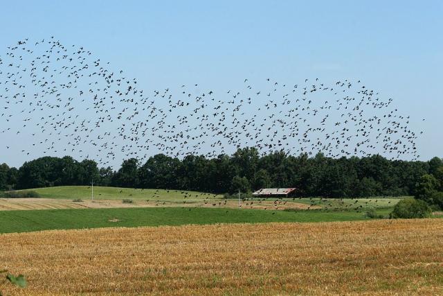 2008_0801Mazury115